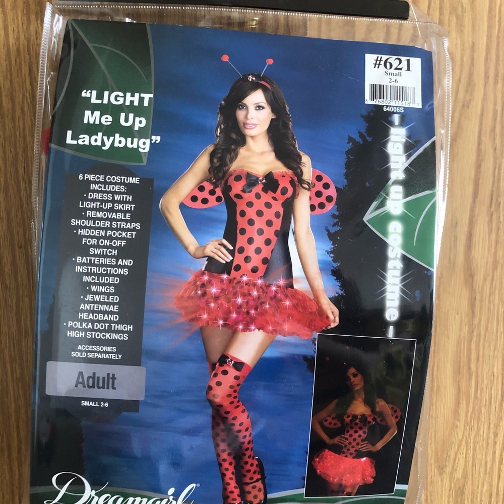 Ladybug Halloween Costume